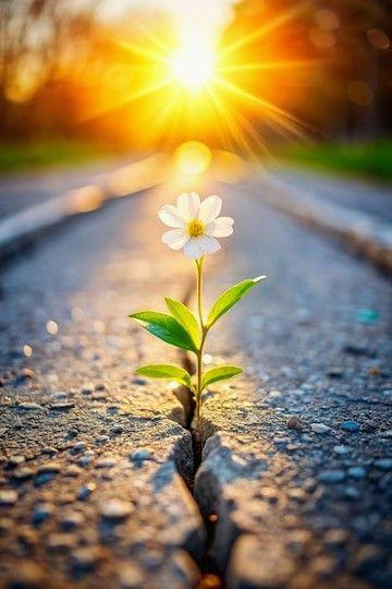 Fotografie pre Help us wipe away the tears of suffering people in Ukraine