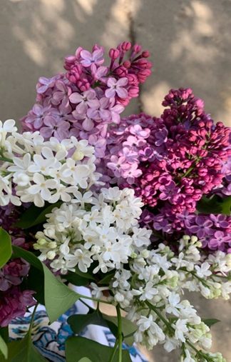 Fotografie pre PRÍBEH POMOCI - od našej spolupracovníčky Táni